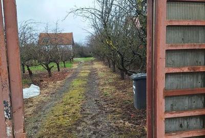 Teren de 2500 mp, în Balotești - 3