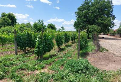 Spațiu comercial, în Gura Sărății - 2