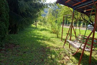 Vand casa+cabana Vand casa+cabana - 5