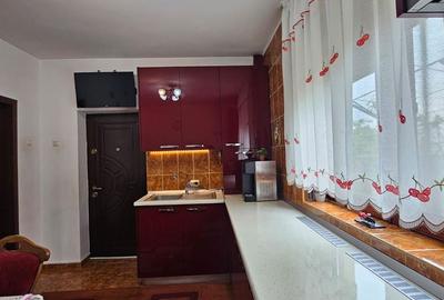Casă cu 6 camere cu Teren 800 Mp în Calea București - 11