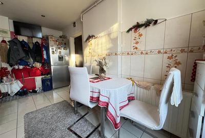 Apartament la ETAJUL 1 cu 2 camere in Terezian - 8