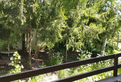 Vand apt 2 camere Snagov - 4