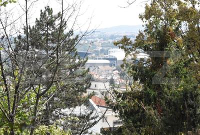 Casă individuală cu 3 camere cu Teren 978 Mp în Grigorescu - 3