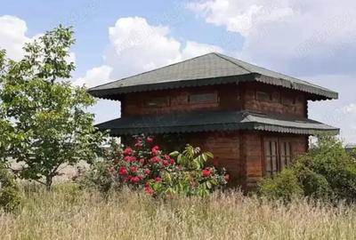 Teren de 1600 mp, în Dragomirești-Vale - 1