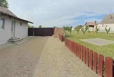Casă cu 3 camere cu Teren 3500 Mp în Satu Mare - 2