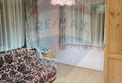 Cabana in Muntele Baisorii - Zona Mera - 10