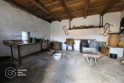 Casă individuală cu 4 camere cu Teren 5000 Mp în Lalașinț - 15