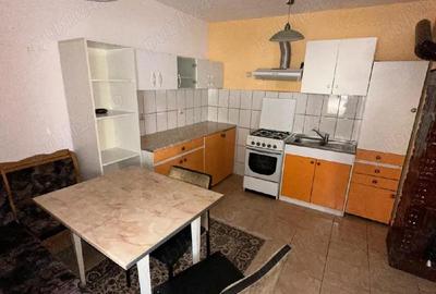 Casă cu 3 camere cu Teren 3000 Mp în Jamu Mare - 4