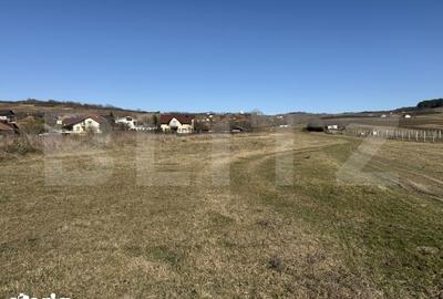 Teren de 5800 mp, în Hereclean - 8