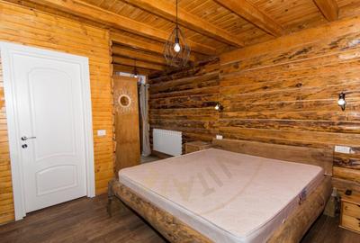 Casa de vacanta sau afacere la cheie in Loc. Nucsoara, jud. - 12