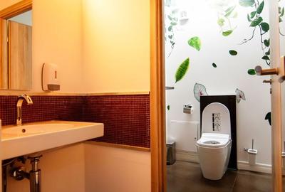 Piata 1 Mai spatiu demisol 475 mp - 9