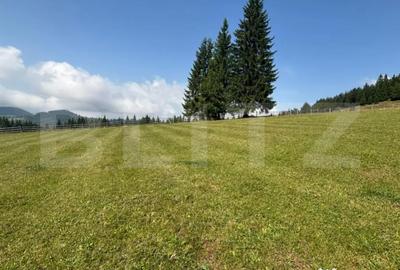 Teren de 20000 mp, în Central - 7