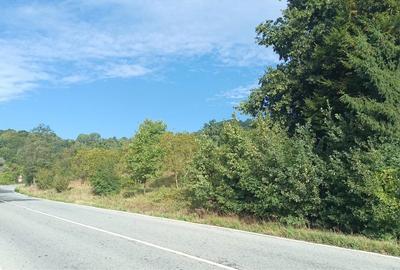 Teren de 4183 mp, în Bârlogu - 1