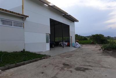 Inchiriere hala pentru depozitare sau atelier Iris - Valea Chintaului - 6