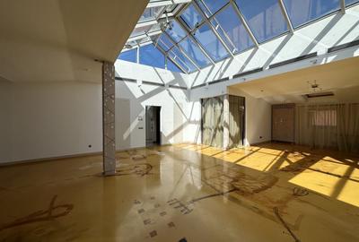 Casă individuală cu 26 camere cu Canalizare în Grădina Icoanei - 3