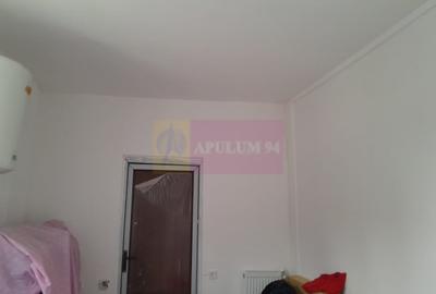 Casă cu 2 camere în Roșu - 9