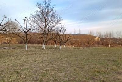 Teren de 4600 mp, în Central - 7