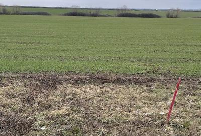 Teren de 9500 mp, în Remetea Mare - 1