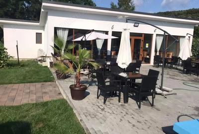 Vand casa+teren+piscina+sala de evenimente, Com. Brani?tea, jud. Bistri?a-Nasaud - 2