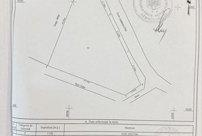 Casă cu 4 camere în Central - 4