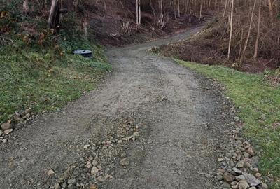 Casa de vinzare gradina ?i un hectar de teren 2 camere baie, coridor beci, bucatarie anexe,exe,, - 2