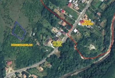 Teren de 2300 mp, în Păușești - 5