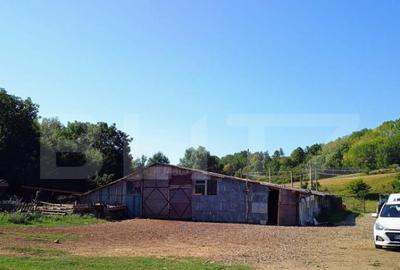 Stana 17.000 mp, Boldesti-Scaeni - 9