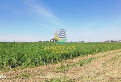 Spațiu comercial, în Frumușani - 4