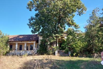 Teren Construcții intravilan de 11414 mp, în Andreești - 7