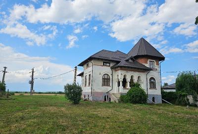 Casă cu 7 camere cu Teren 2800 Mp în Poienarii Burchii - 7