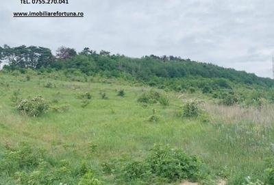 Teren zona Pietricica, cadru natural superb - 2