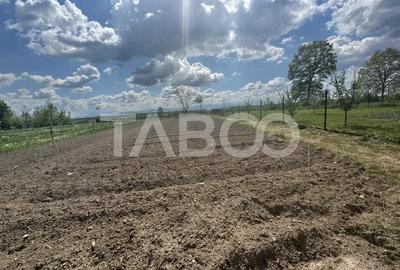 Casa de vanzare 2 camere 43 mpu teren liber 974 mp Venetia de Sus - 5