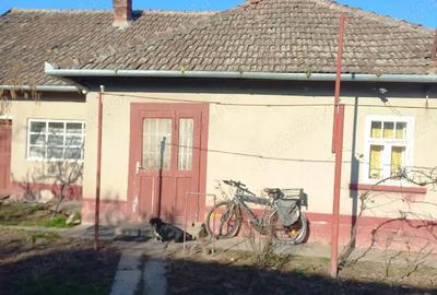 Casă cu Teren 3435 Mp în Boiu - 5