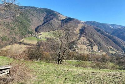 Teren de 20905 mp, în Sud - 1