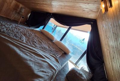 Casă cu 3 camere în Nistorești - 7