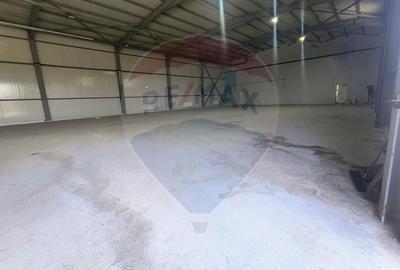 Spațiu industrial, de 800 mp, în Central - 11