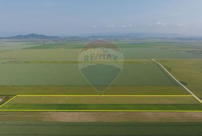 Teren 42,000mp Tarlungeni / Strada Izvor - 4