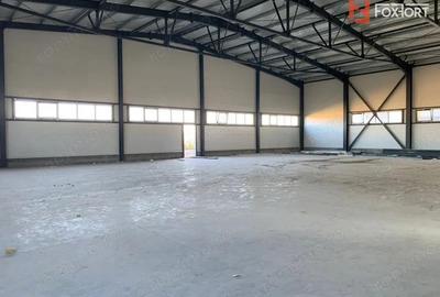 Hala industriala 600 mp, curte 1398 mp, parcare, toate utilitatile - Ghiroda - 5