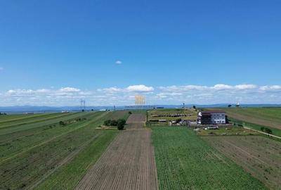 Teren Intravilan 36977 mp E 85 Intrare in Municip... - 3