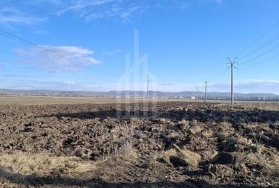 TEREN INTRAVILAN PENTRU CONSTRUCTIE BLOCURI-20000 MP, ZONA CALEA SURII MICI - 2