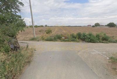Teren Intravilan intrare com. Frumusani, acces direct sos Oltenitei in 200M - 6
