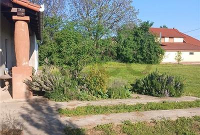 Casă cu 2 camere cu Teren 1175 Mp în Vaida - 3