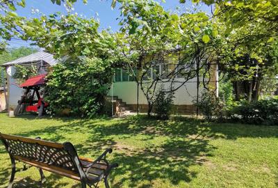 Casă cu 4 camere în Valea Mare-Pravăț - 5