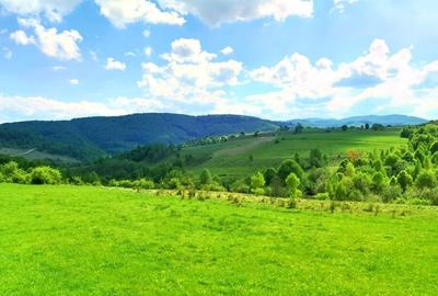 25.000 mp TEREN IDEAL AFACERE TURISM – AMENAJARE LAC DE PESCUIT, CIUCEA - CLUJ - 19