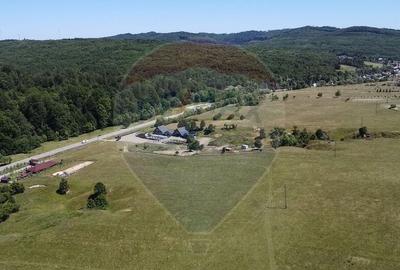 Teren 5,561mp Paltinoasa / Strada principala - 8