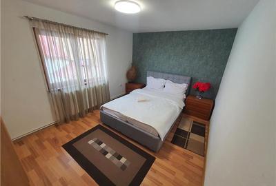 Oferta casa de vacanta P+1+M cu 1700mp teren, in Gura Raului - 36