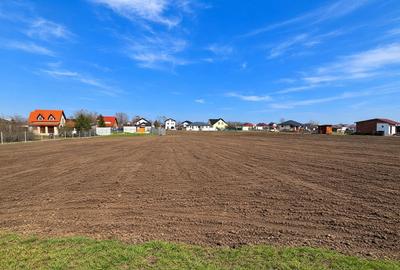Spațiu comercial, în Nord - 3