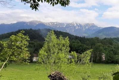 Spațiu comercial, în Moieciu - 1