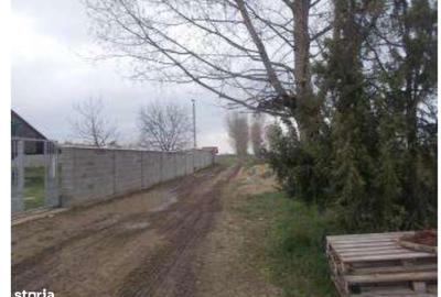 Spațiu comercial, de 91,412 mp, în Jebel - 12