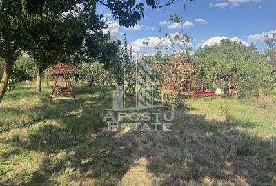 Casă cu 3 camere cu Canalizare în Bucovăț (Remetea Mare) - 18